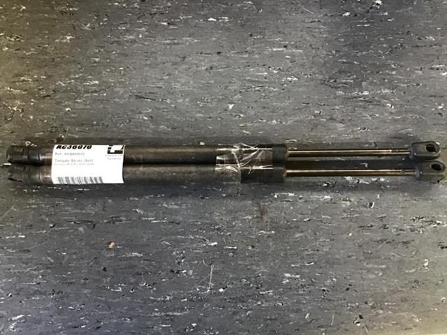 Tailgate Struts (set)