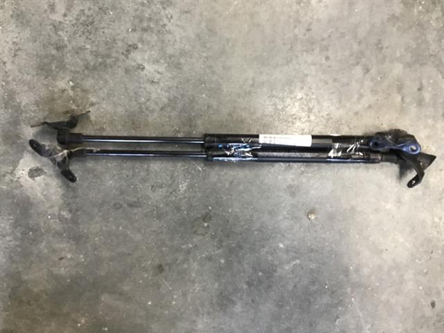Tailgate Struts (set)
