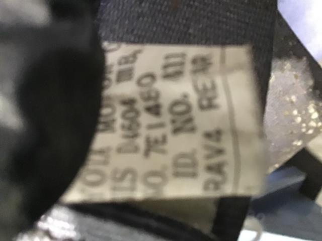 Rr Seat Belt