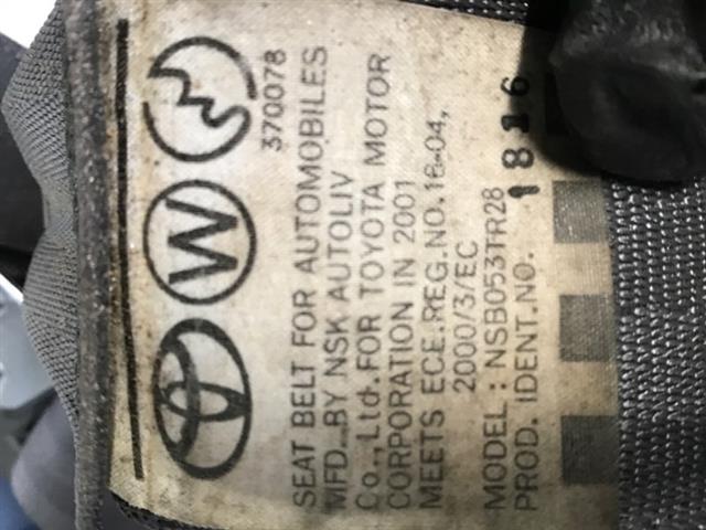 Rr Seat Belt