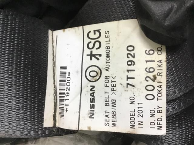 Rr Seat Belt