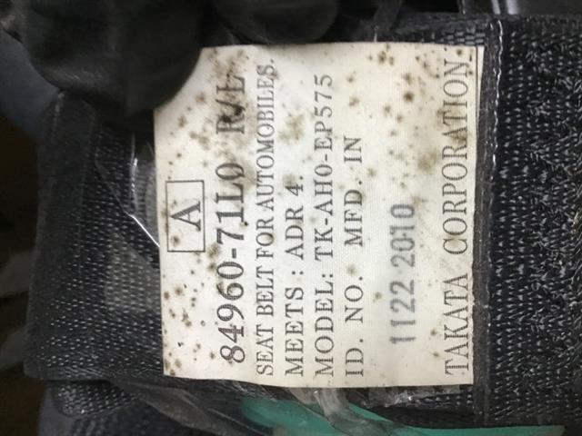 Rr Seat Belt