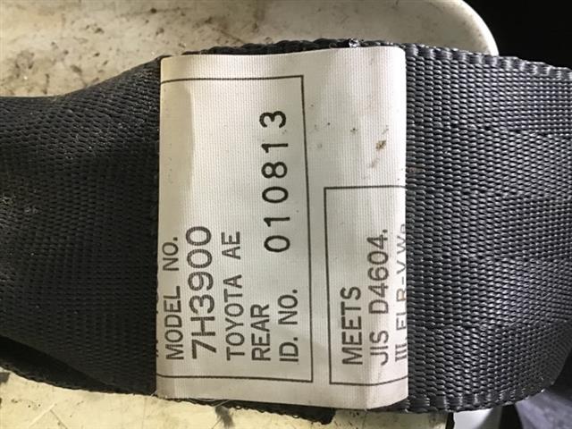 Rr Seat Belt