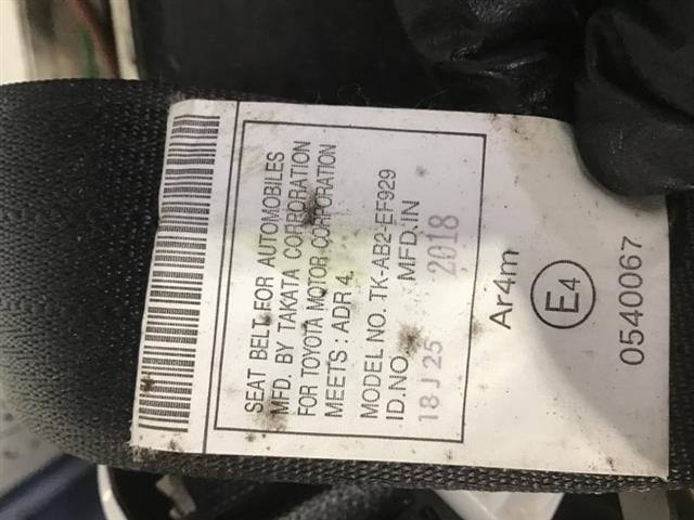 Rr Rear Seat Belt