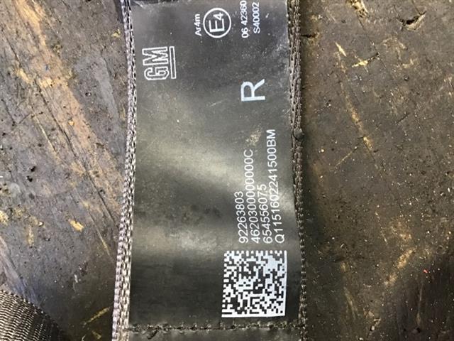 Rr Seat Belt