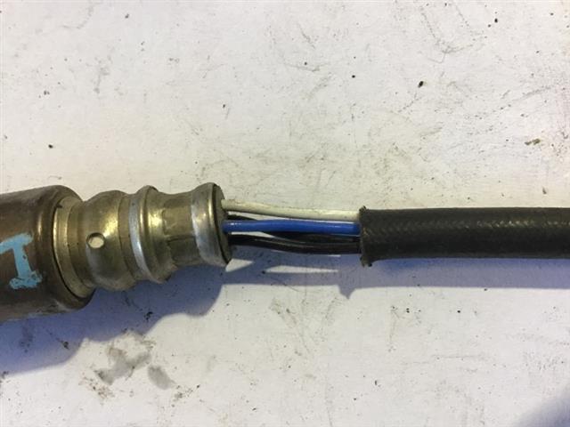 Exhaust Oxy Sensor