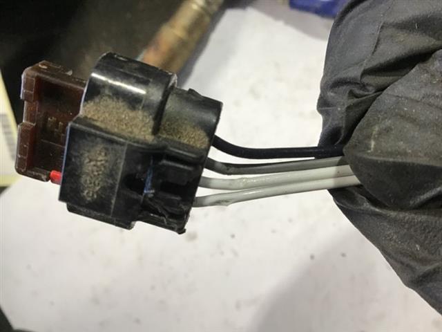 Exhaust Oxy Sensor