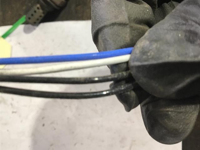 Exhaust Oxy Sensor