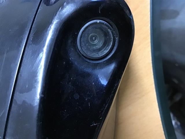 Lf Door Elec Mirror