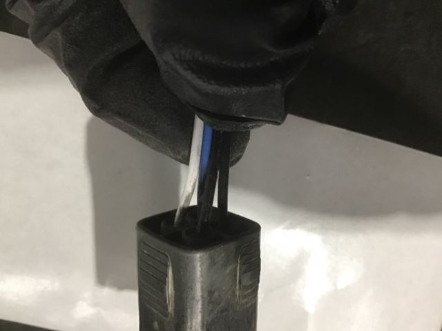 Exhaust Oxy Sensor