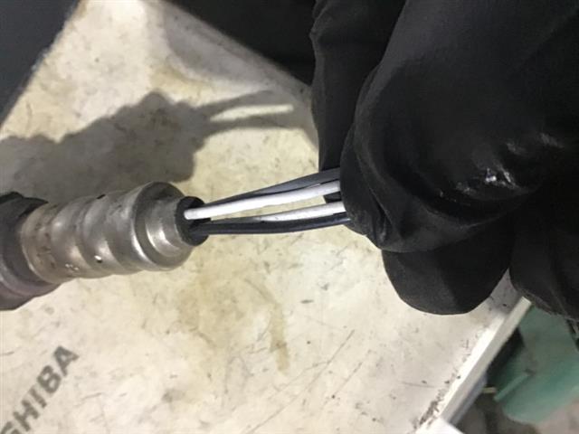 Exhaust Oxy Sensor