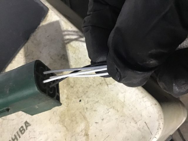 Exhaust Oxy Sensor