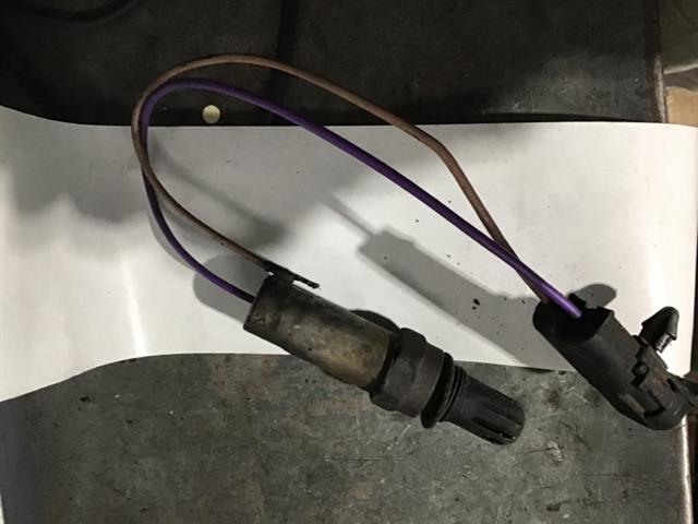Exhaust Oxy Sensor
