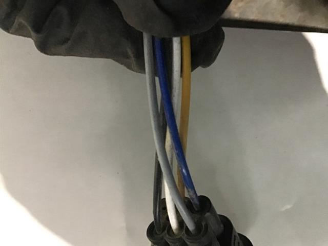 Exhaust Oxy Sensor
