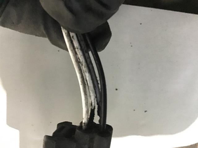 Exhaust Oxy Sensor