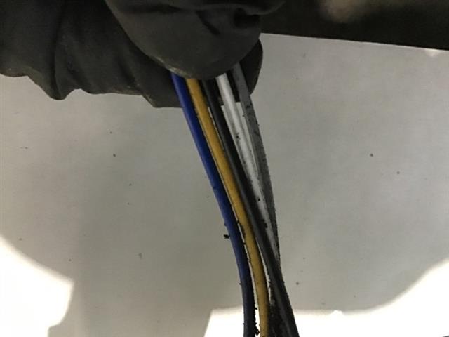 Exhaust Oxy Sensor