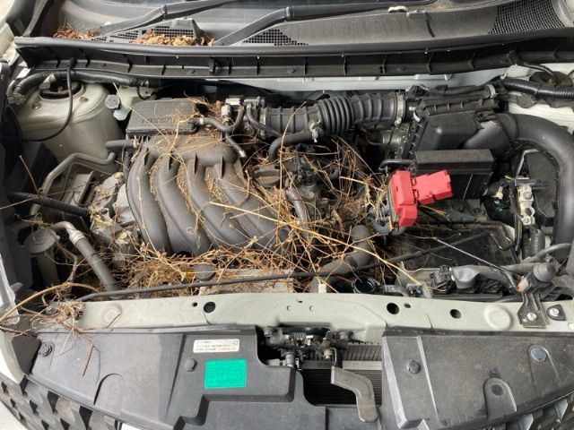 Nissan Juke - F15 2010-2017