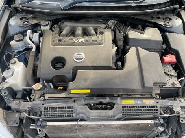 Nissan Maxima - J32 2009-Present