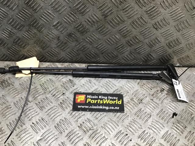 Tailgate Struts (set)