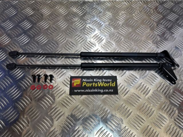 Tailgate Struts (set)