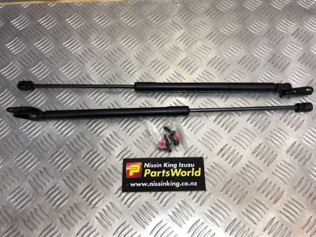 Tailgate Struts (set)