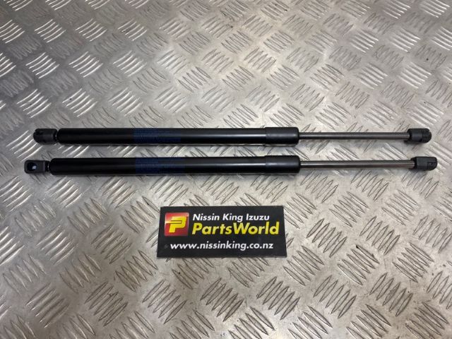 Tailgate Struts (set)