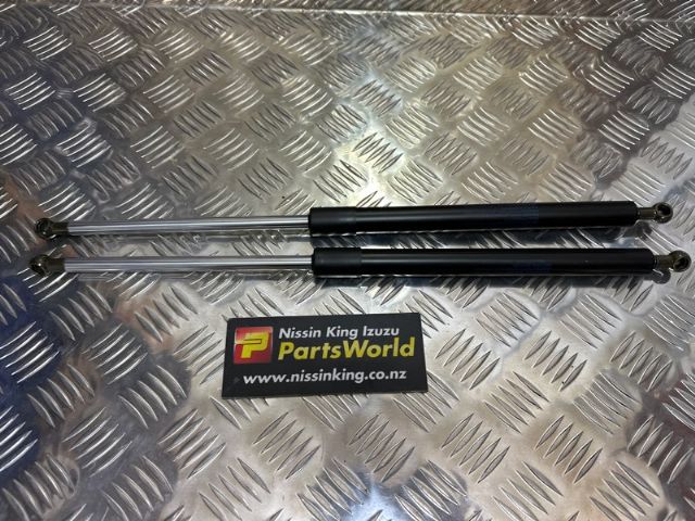 Tailgate Struts (set)