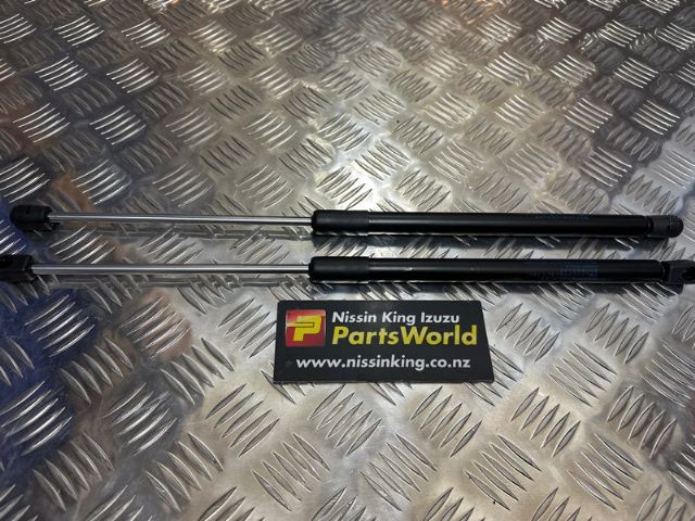 Tailgate Struts (set)