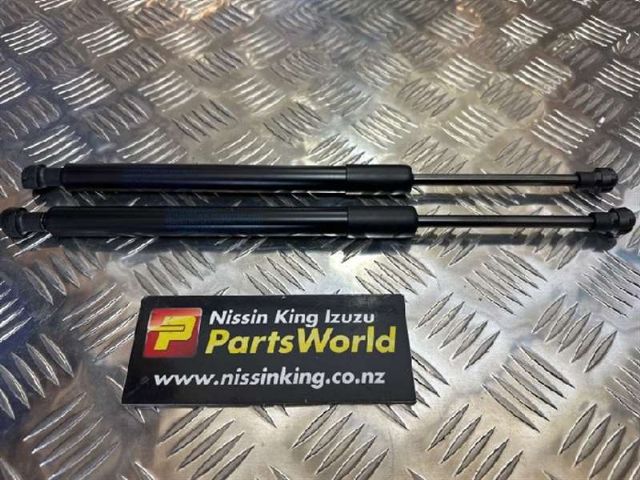 Bonnet Gas Struts (set)