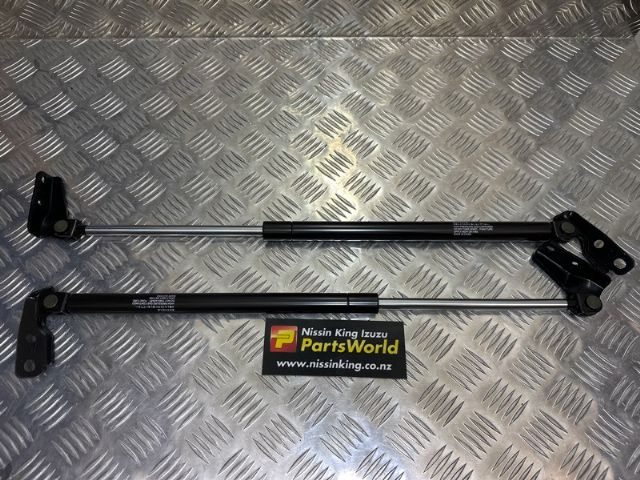 Tailgate Struts (set)