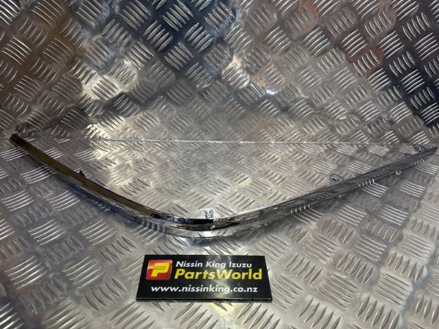 Rr Bumper Moulding