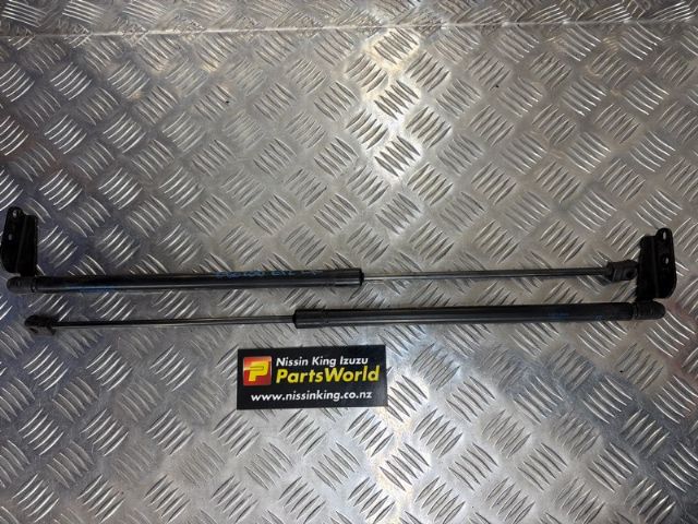 Tailgate Struts (set)