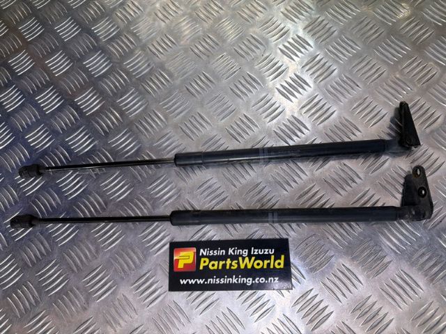Tailgate Struts (set)