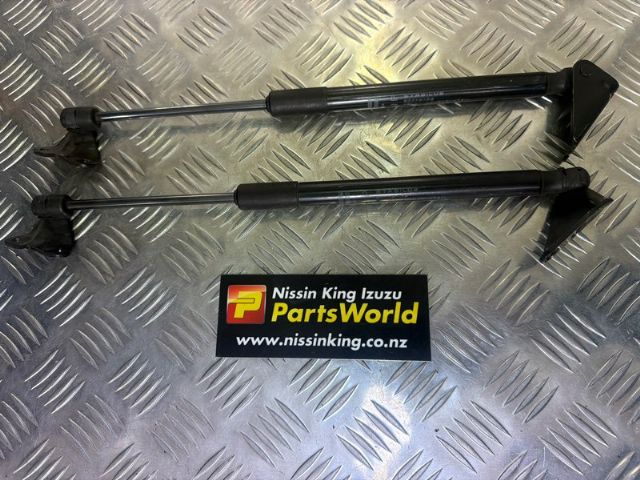 Tailgate Struts (set)