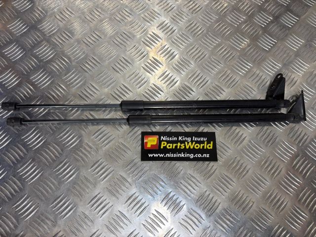 Tailgate Struts (set)