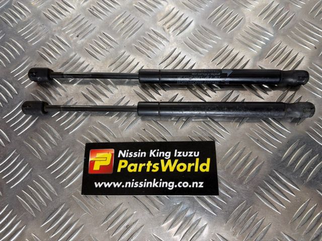 Bonnet Gas Struts (set)
