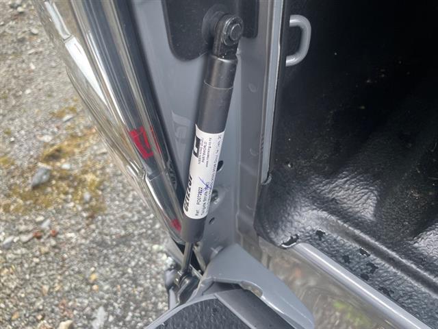 Tailgate Struts (set)