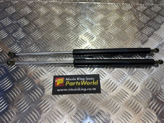 Tailgate Struts (set)
