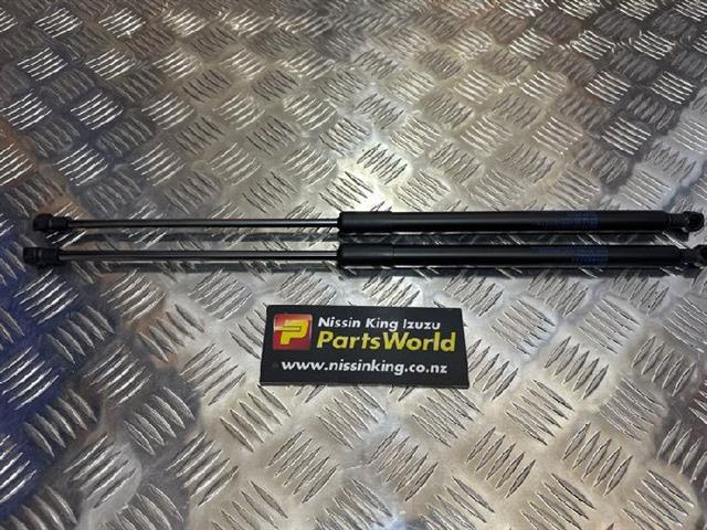 Tailgate Struts (set)