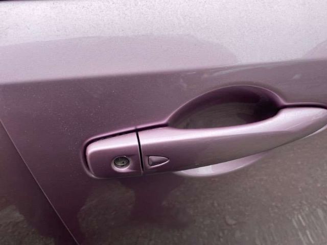 Rf Door Exterior Handle (smart Button) Type