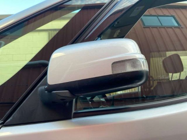 Lf Door Elec Mirror (9 Wire)