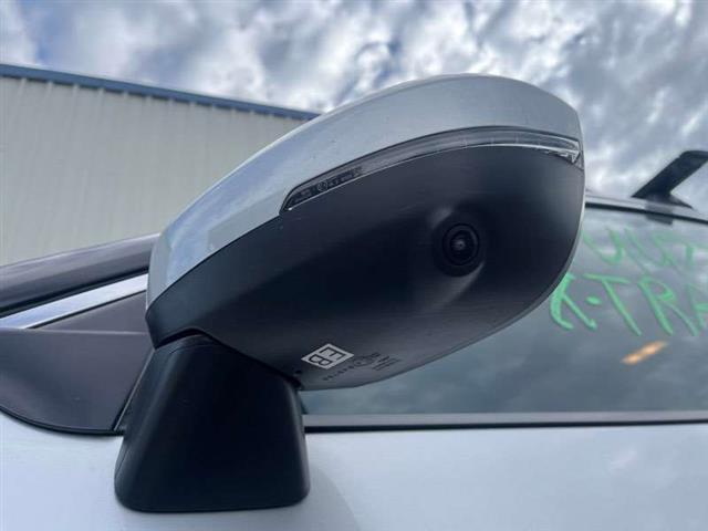 Lf Door Elec Mirror (9 Wire)