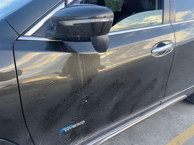 Lf Door Shell