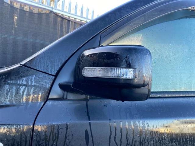 Lf Door Elec Mirror (7 Wire)
