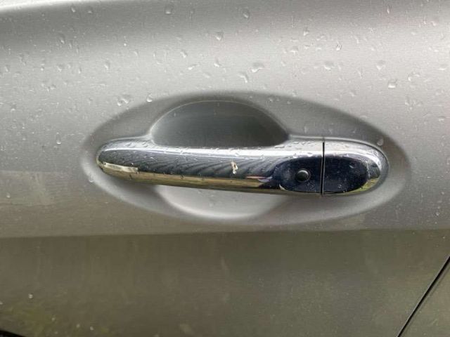 Lf Door Exterior Handle (smart Button) Type