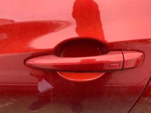 Lf Door Exterior Handle (smart Button) Type