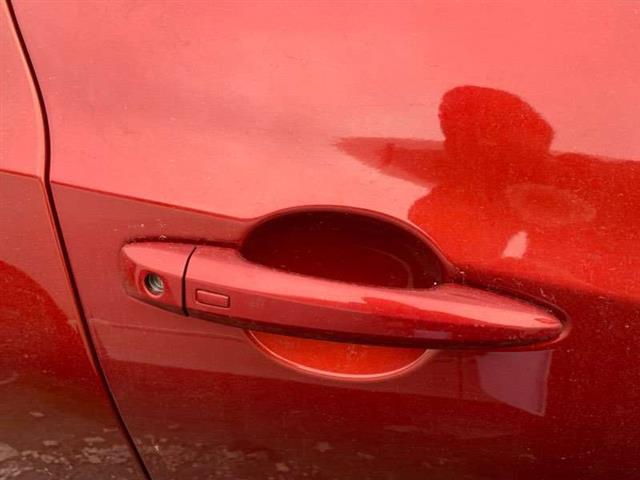 Rf Door Exterior Handle (smart Button) Type