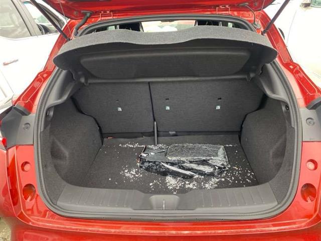 Rear Parcel Tray