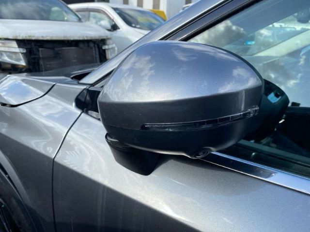 Lf Door Elec Mirror