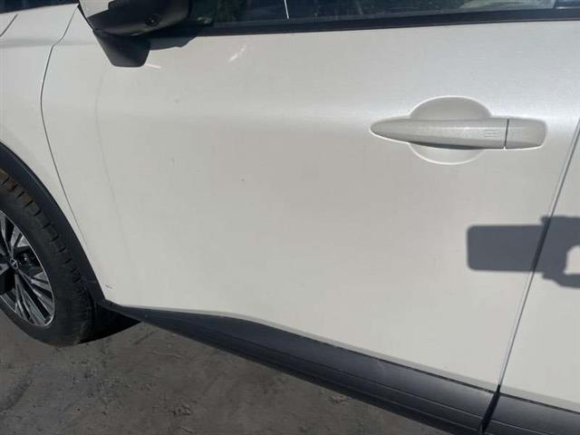 Lf Door Shell